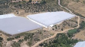 Antalya'da Makilik Alanda Yangın Çıkışı ve Müdahale Çalışmaları