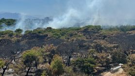 Antalya'daki Orman Yangınına Hızla Müdahale Ediliyor