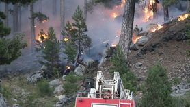 Antalya'daki Orman Yangınlarına Müdahale Devam Ediyor