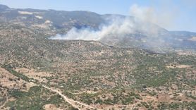 Aydın Çine'de Tarım Alanında Yangın Çıktı