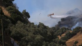 Aydın'da Ağaçlık Alanda Yangın Söndürme Çalışmaları