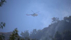 Aydın'da Tarım Alanında Yangın Çıktı