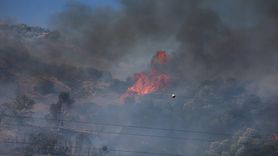 Aydın'da Zeytinlik Alanda Yangın Çıktı