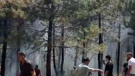 Aydos Ormanı'nda Yangın Alarmı