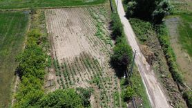 Bafra'da Su Taşkınları Tarım Arazilerini Vurdu