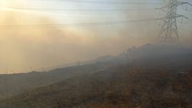 Balıkesir'de Arazi Yangını Kontrol Altına Alınıyor