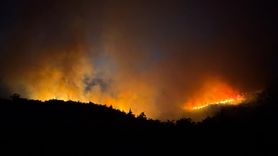 Balıkesir'de Orman Yangınına Hızlı Müdahale