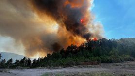 Balıkesir'de Orman Yangınına Müdahale Devam Ediyor