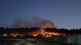 Balıkesir'de Tavuk Çiftliğindeki Yangın Ormanlık Alana Sıçradı