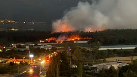 Balıkesir'de Tavuk Çiftliğindeki Yangınla İlgili İki Kişi Tutuklandı