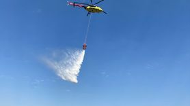 Balıkesir'deki Orman Yangını Kontrol Altında