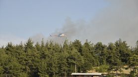 Balıkesir Orman Yangını Kontrol Altında
