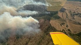 Balıkesir Orman Yangınına Hızla Müdahale Ediliyor