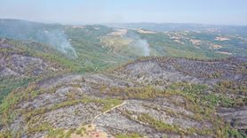 Balıkesir Orman Yangınına Müdahale Devam Ediyor