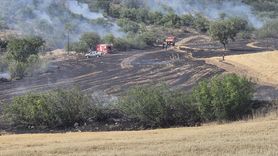 Bayat'ta yangın tehlikesi aşıldı