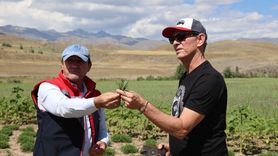 Bayburt'ta Tarhun Ekim Alanlarına ABD Temsilcileri Ziyareti