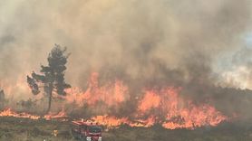 Bilecik'te Orman Yangınına Hızla Müdahale Ediliyor