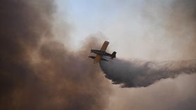 Bilecik ve Sakarya'da Orman Yangınına Mücadele Devam Ediyor