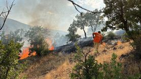 Bingöl'deki Orman Yangınları Kontrol Altına Alındı