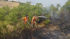 Bingöl'deki Orman Yangınları Kontrol Altına Alındı