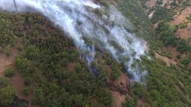 Bingöl'deki Orman Yangınlarına Acil Müdahale