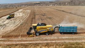 Bitlis'te Buğday Hasadı Başladı
