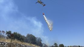 Bodrum'da Tarım Arazisi Yangını Kontrol Altına Alındı