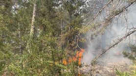 Bolu'daki Orman Yangını Kontrol Altına Alındı