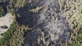 Bolu Göynük'teki Orman Yangını: 35 Hektar Zarar Gördü