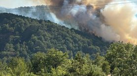 Bolu Göynük'teki Orman Yangınına Müdahale Başlatıldı