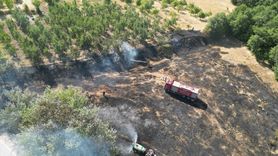 Bursa'da Arazide Yangın Kontrol Altına Alındı