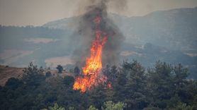 Bursa'da Orman Yangınına Hava ve Karadan Müdahale Devam Ediyor