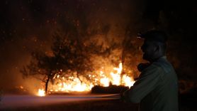 Bursa'da Orman Yangınına Müdahale Devam Ediyor