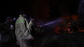 Bursa'da Orman Yangınına Müdahale Devam Ediyor