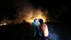 Bursa'daki Orman Yangınına Müdahale Devam Ediyor