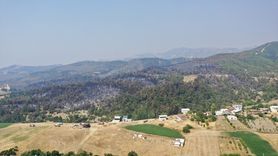 Bursa'daki Orman Yangınına Müdahale Devam Ediyor