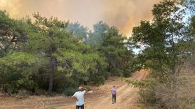 Çanakkale'de Orman Yangını: Havadan ve Karadan Mücadele