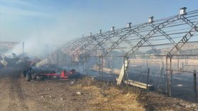 Çankırı'da Yangın Felaketi: Ekili Araziler ve Hayvanlar Zarar Gördü