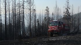 Çankırı'daki Orman Yangınına Müdahale Devam Ediyor