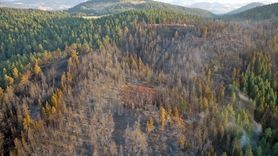 Çankırı'nın Yapraklı İlçesinde Orman Yangını Havadan Görüntülendi