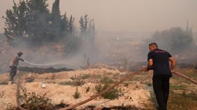 Çeşme'de Yangınla Mücadele Devam Ediyor