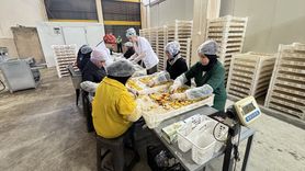 Depremzede Kadın Girişimci İhracata Açıldı