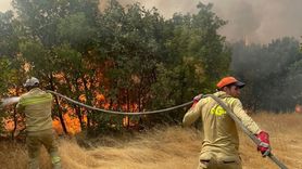 Diyarbakır Lice'de Orman Yangını Kontrol Altına Alındı