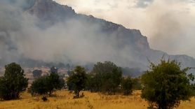 Diyarbakır Lice'de Orman Yangınına Müdahale Devam Ediyor
