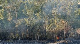 Düzce'deki örtü yangını itfaiye ve vatandaşların iş birliğiyle kontrol altına alındı