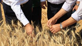 Edirne'de Modern Tarım Uygulamaları