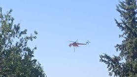 Edirne'deki Orman Yangınına Hızla Müdahale