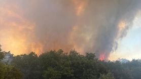 Eskişehir'deki Orman Yangını Kontrol Altına Alındı