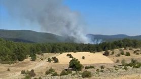 Eskişehir'deki Orman Yangınına Müdahale Başladı