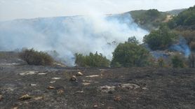 Eskişehir'deki Yangın Kontrol Altına Alındı